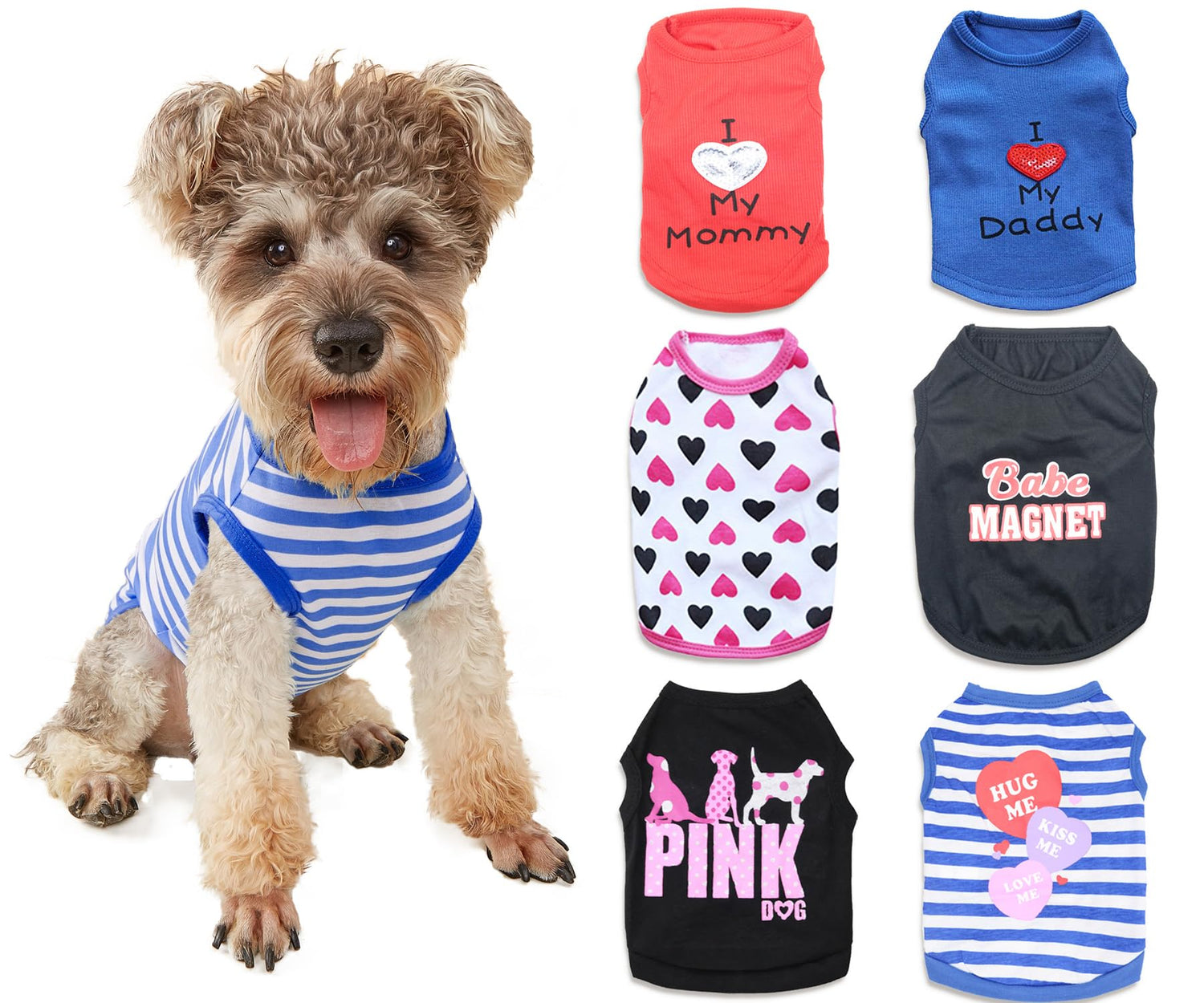 Pet Apparel
