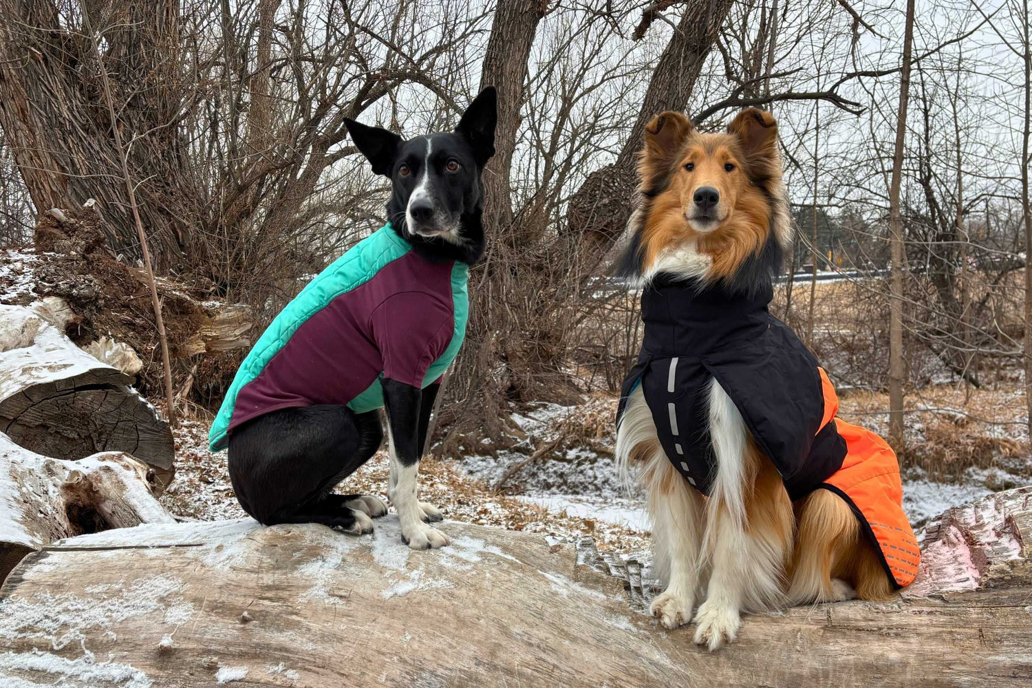 Pet Jacket