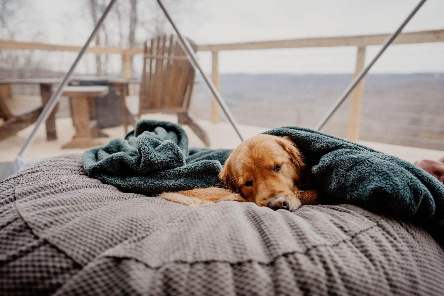 Beds and Blankets